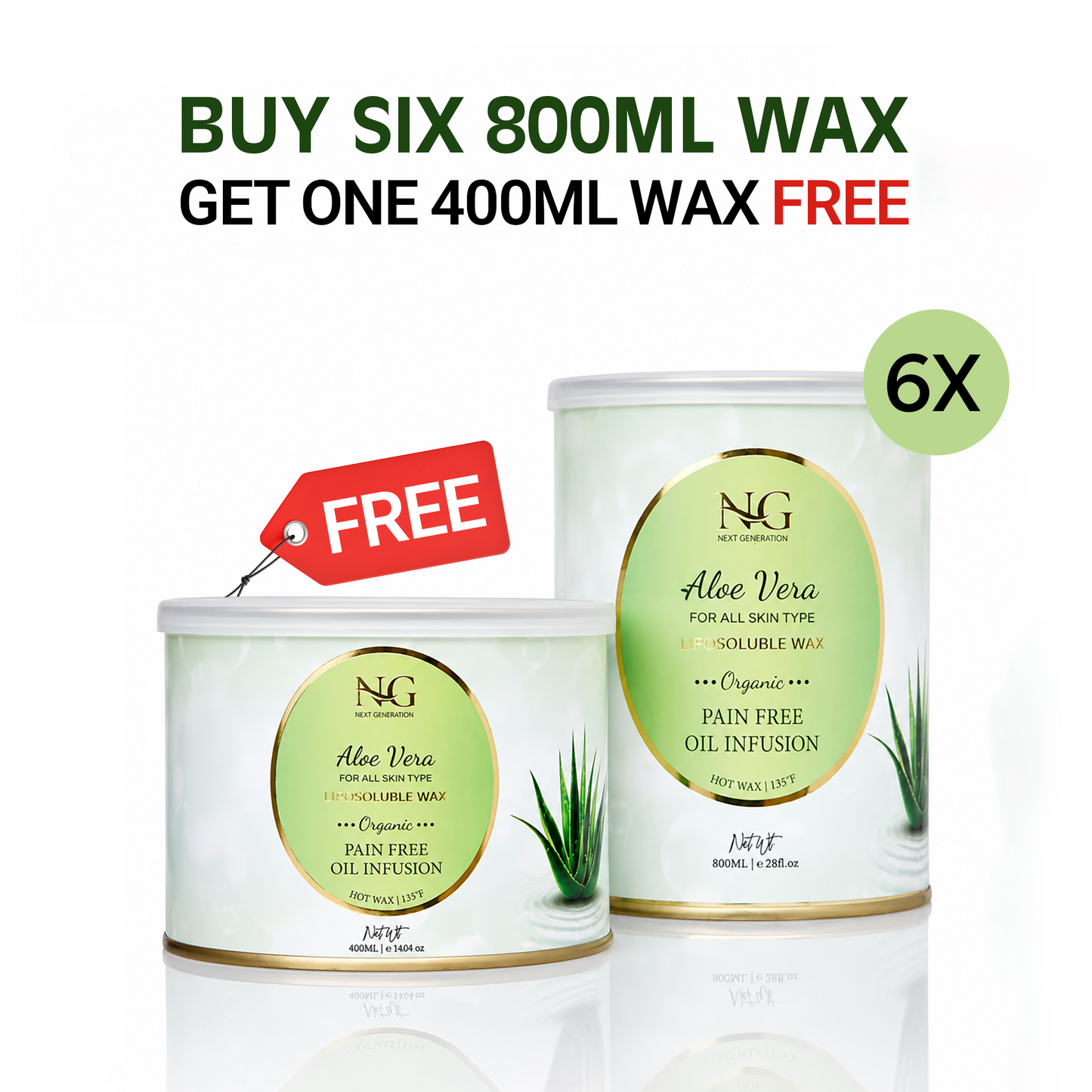 LIPOSOLUBLE PAIN FREE WAX — ALOE VERA